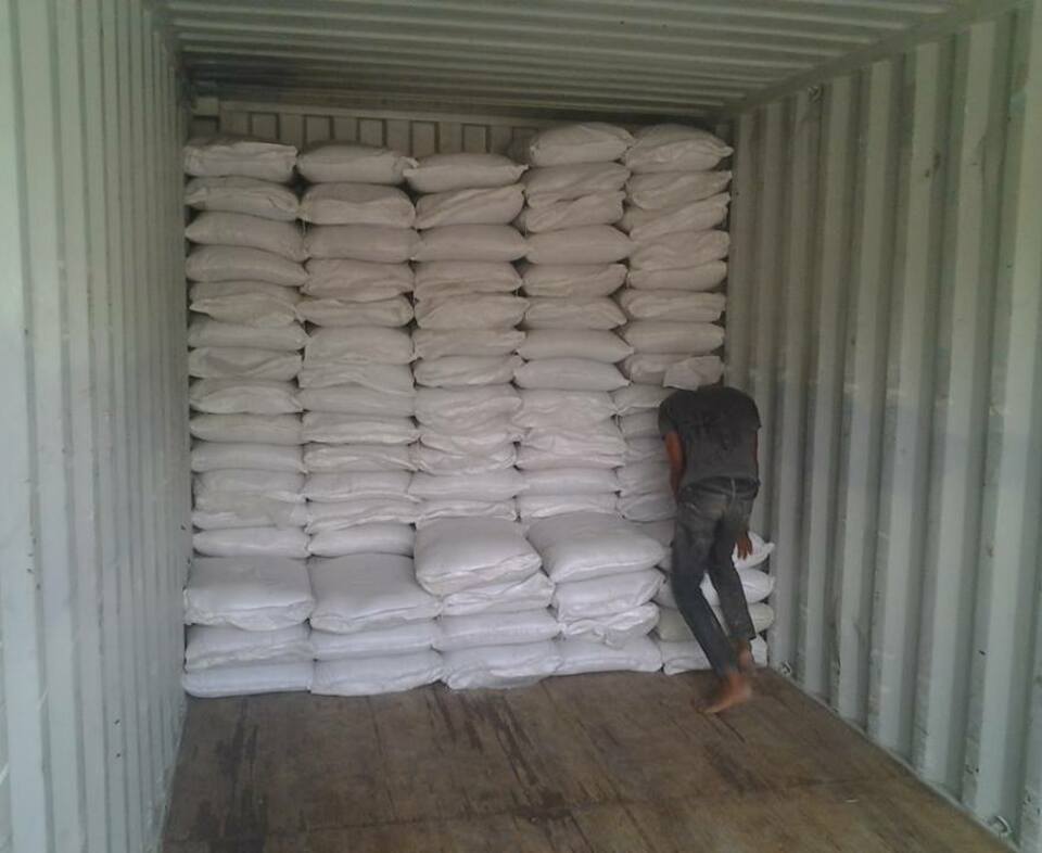 Loading Palm Ash
